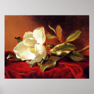 A Magnolia på Red Velvet Poster