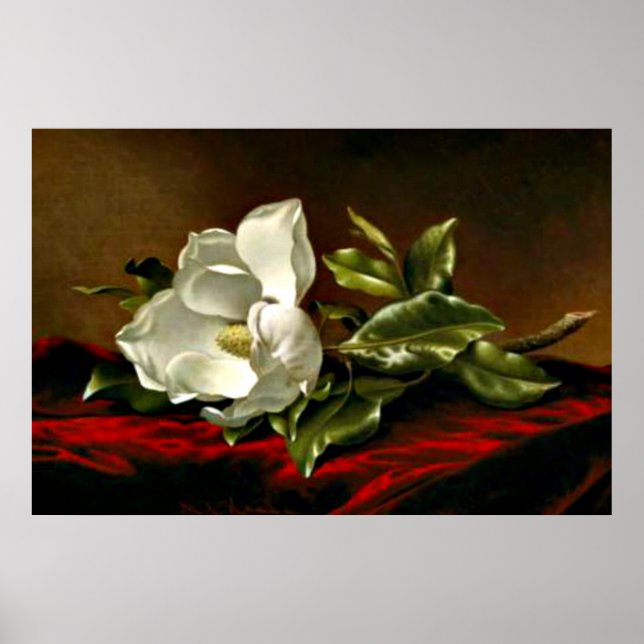 A Magnolia på Red Velvet Poster (Framsidan)