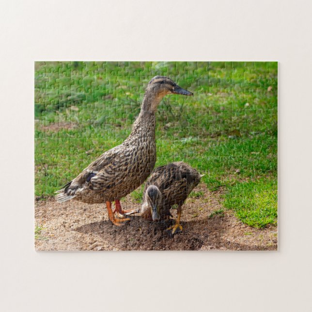 A Mallard Anka och hennes Duckling Jigszle-pussel Pussel (Horisontell)