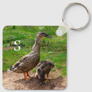 A Mallard Anka och hennes Duckling Nyckelring