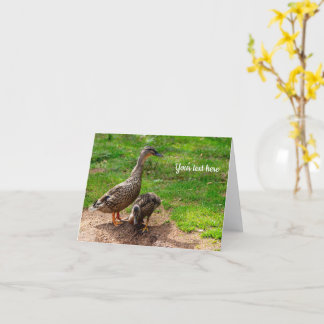 A Mallard Duck and her Duckling Greeting card Kort