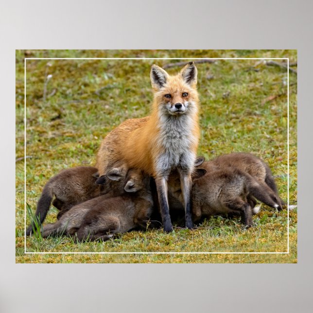 A Mamma Day Poster (Framsidan)