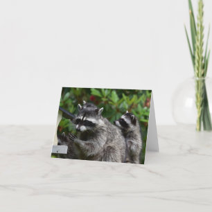 A Mamma Raccoon och hennes Baby Kort