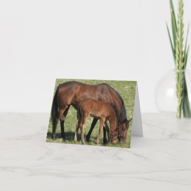 A MAMMOR KÄRLEK KORT (Framsida)