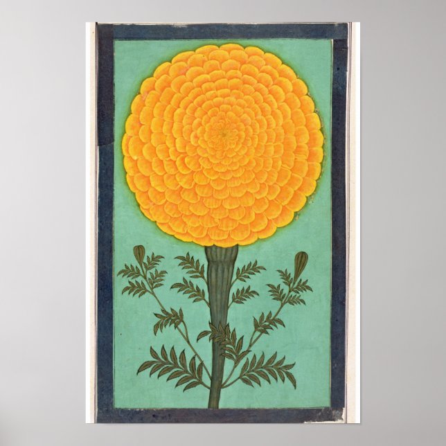 A Marigold, från Small Clive Album Poster (Framsidan)
