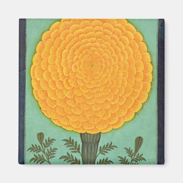A Marigold, från Small Clive Album (w/c på pap Magnet (Framsidan)