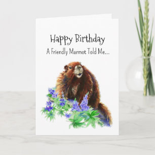 A Marmot Groundhog Personality Birthday Roligt Ani Kort