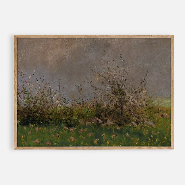 A Meadow Flower, oil vintage Poster (Skapare uppladdad)