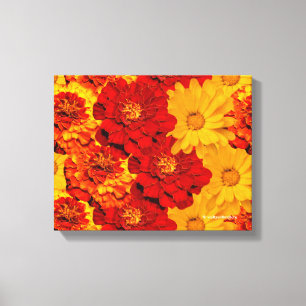 A Medley Red Gult and Orange Marigolds Canvastryck