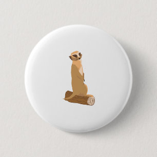 A Meerkat Knapp