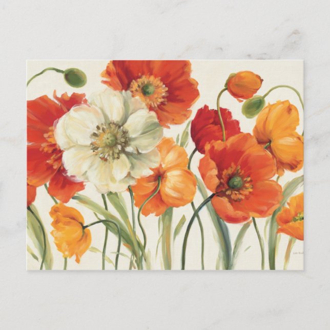 A Melody of Poppies Vykort (Framsida)