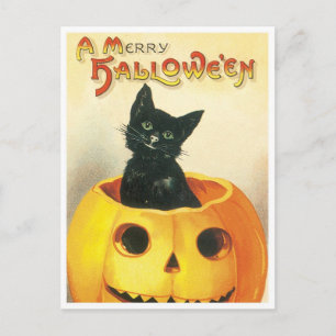 A Merry Halloween Helg Vykort