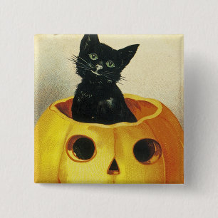 A Merry Haloween Kitten Knapp