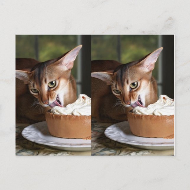 A Moment of Sweet Stillness – Art Postcard Vykort (Framsida)