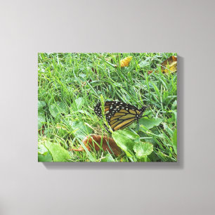 A Monarch Butterfly Canvastryck