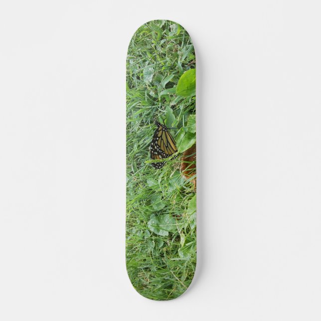 A Monarch Butterfly Mini Skateboard Bräda 18,5 Cm (Framsida)