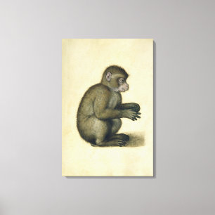 A Monkey Canvastryck