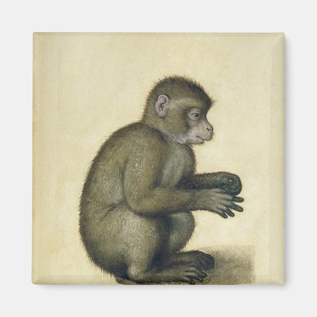 A Monkey Magnet (Framsidan)