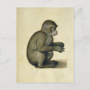 A Monkey Vykort
