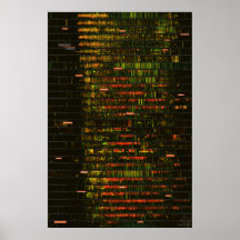 A Month of Yellowstone Ljud