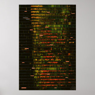 A Month of Yellowstone Ljud Poster