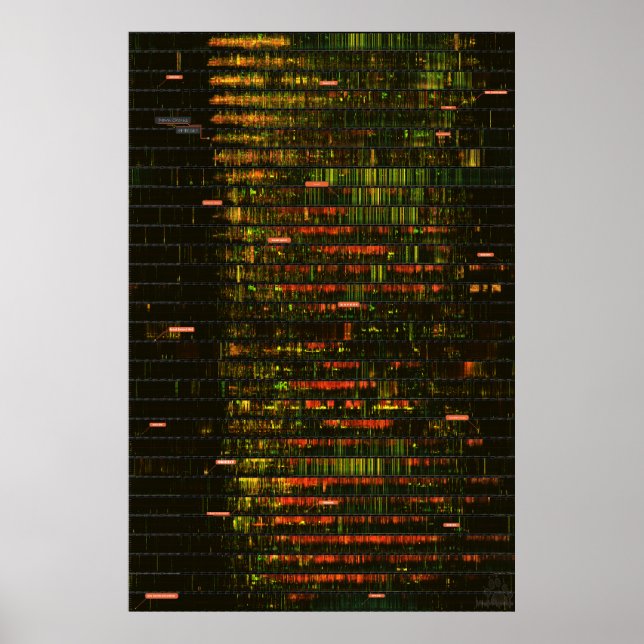 A Month of Yellowstone Ljud Poster (Framsidan)