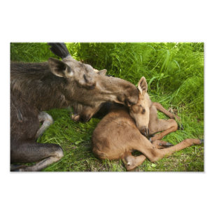 A MOR KÄRLEK FOTOTRYCK