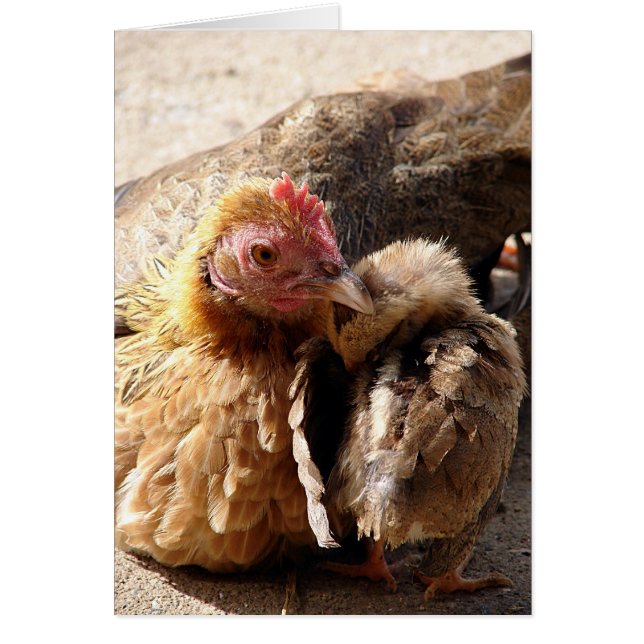 A MOR KÄRLEK HÄLSNINGSKORT (Framsidan)