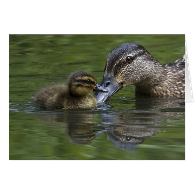 A MOR KÄRLEK HÄLSNINGSKORT (Framsidan Horizontal)