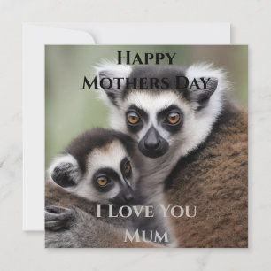 **"A Mor Kärlek: Mummy och Baby Lemur Cuddling"