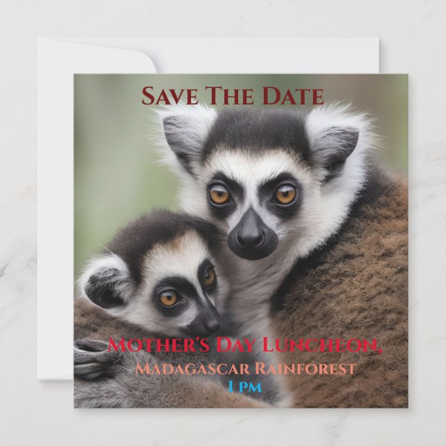 **"A Mor Kärlek: Mummy och Baby Lemur Cuddling" Spara Datumet (Framsida)