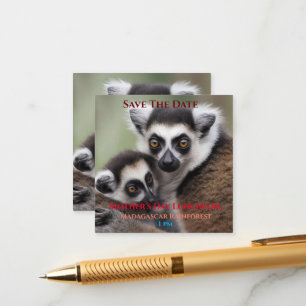 **"A Mor Kärlek: Mummy och Baby Lemur Cuddling" Tilläggskort