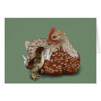 A MOR KÄRLEK OBS KORT