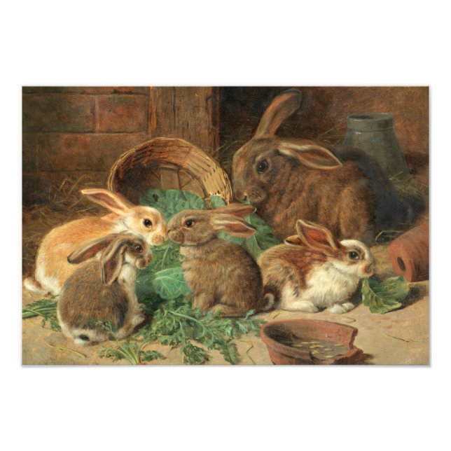A Mother Rabbit and her Young by Alfred Barber Fototryck (Framsidan)