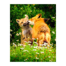 A Mother’s Kiss