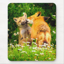 A Mother’s Kiss Wildlife Nature Art Print Musmatta