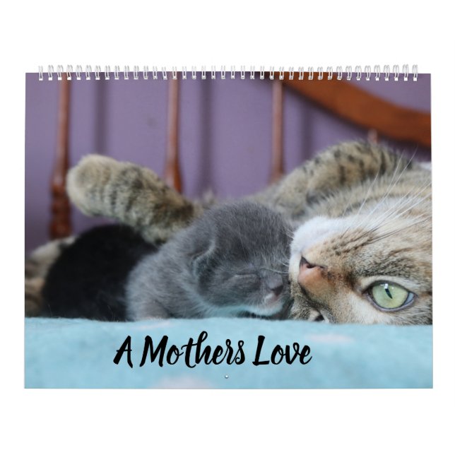 A MOTHERS LOVE MAMACAT & HER KITTENS KALENDER (Omslag)