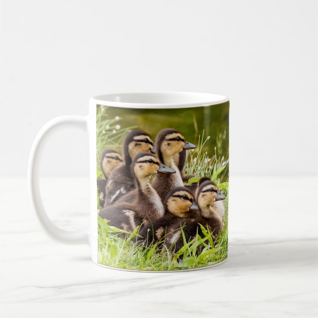 A Mugg i Ducklings (Vänster)