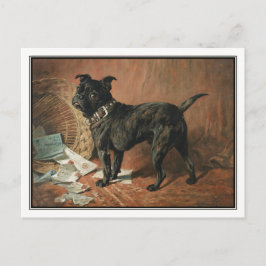 A Naughty Black Pug av John Emms Vykort