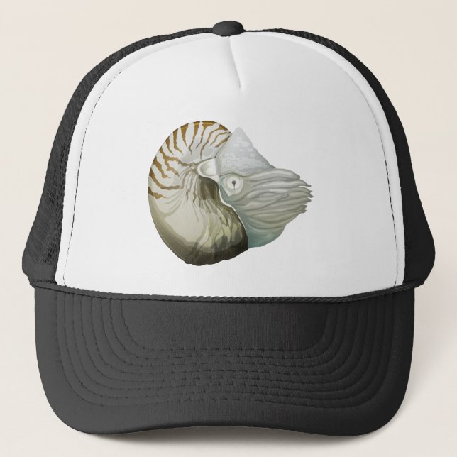 A nautilus keps (Framsida)