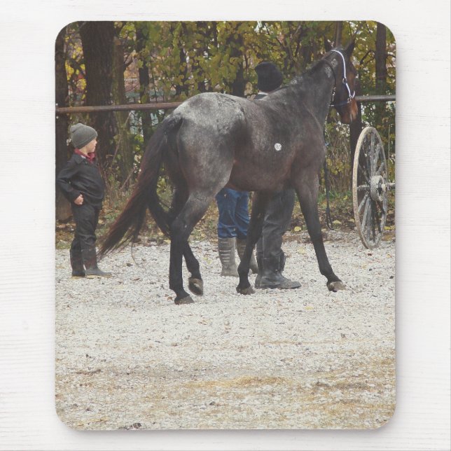 A New Horse Musmatta (Framsidan)