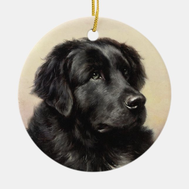 A Newfoundland Ornament (Framsidan)