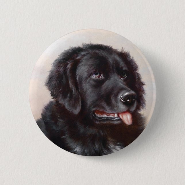 A Newfoundlander Button Knapp (Framsida)