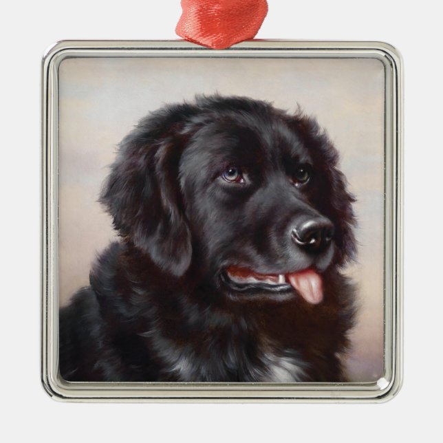 A Newfoundlander Ornament (Framsidan)