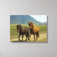 A Pair of Brown Islands Ponies