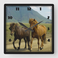A Pair of Brown Islands Ponies