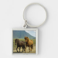 A Pair of Brown Islands Ponies