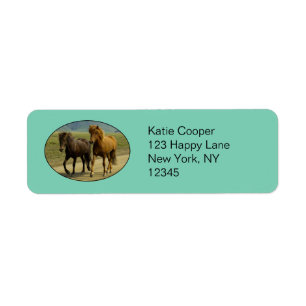 A Pair of Brown Islands Ponies Returadress Etikett