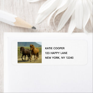 A Pair of Brown Islands Ponies Returadress Etikett