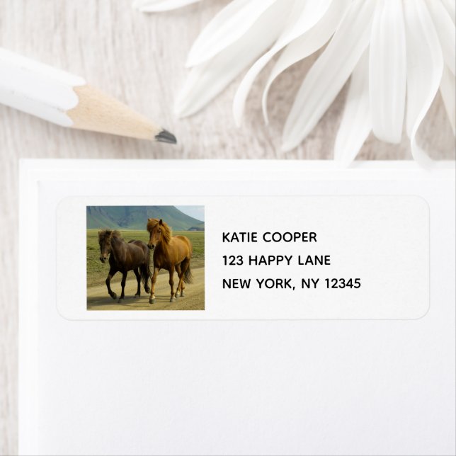 A Pair of Brown Islands Ponies Returadress Etikett (Insitu)